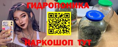 крисы Партизанск