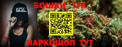 крисы Партизанск