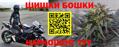 крисы Партизанск